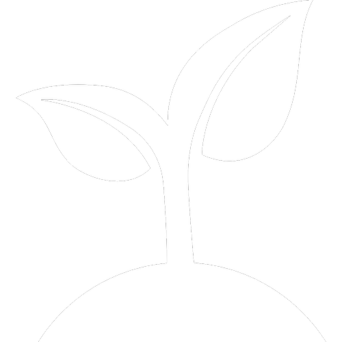 First-generation wealth builders